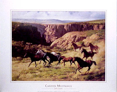 mustangs by John Leone