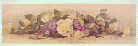 white roses and purple violets