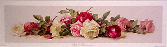 red and white roses