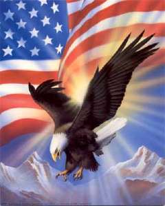 American Eagle & Flag